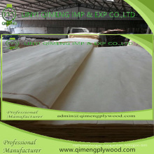 Abcd Grade Size Thickness 0.15-0.50mm Poplar Veneer for Plywood